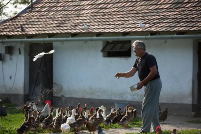 Nagylaposi Birkacsárda