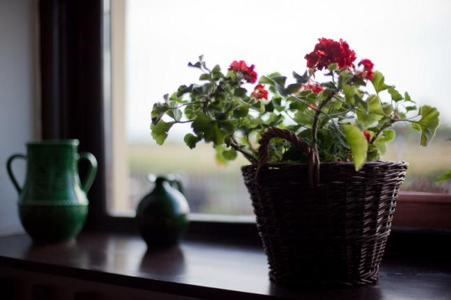 Nagylaposi Birkacsárda